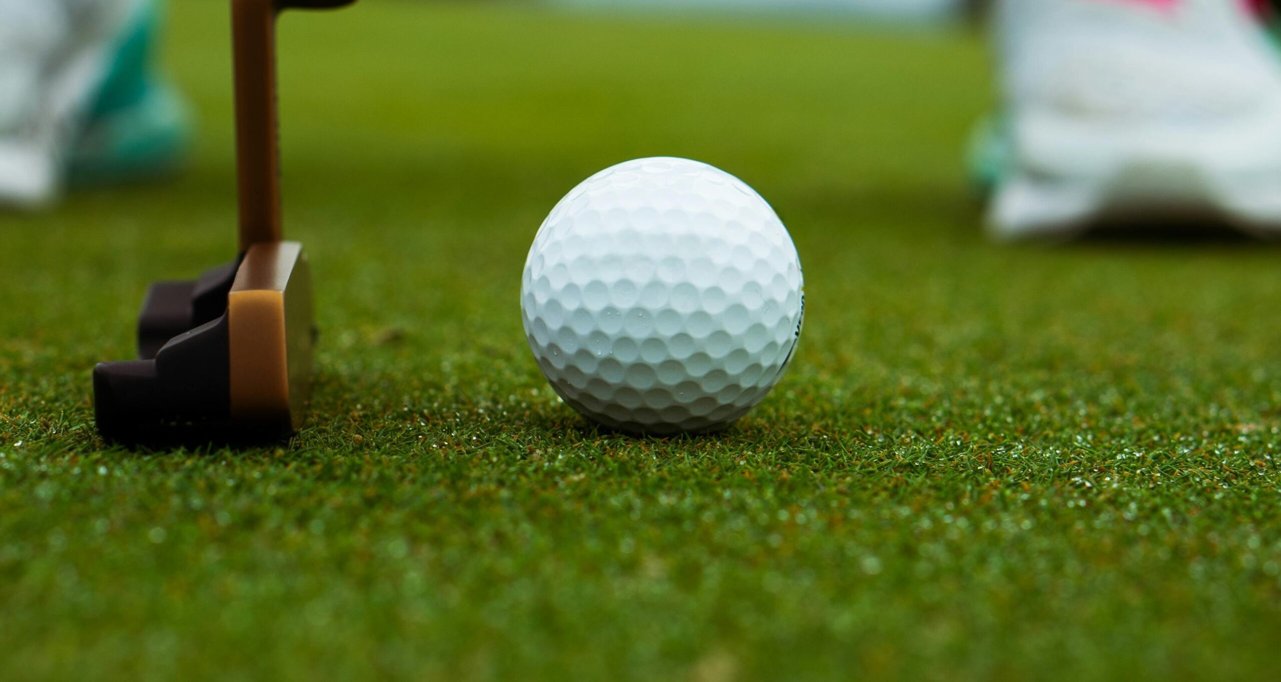 pexels peter jacob drew 1795886 5429333(2) (1)